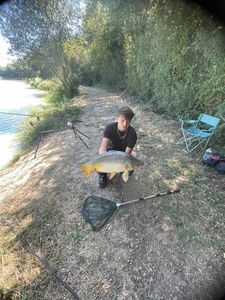 Mirror Carp