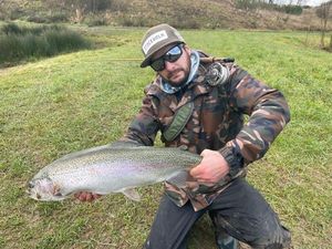 Rainbow Trout