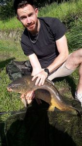 Mirror Carp