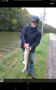Zander