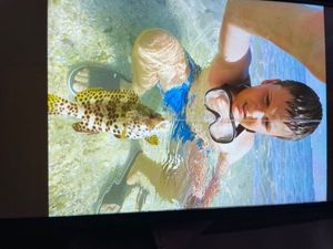 Orange Spotted Grouper