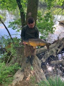 Mirror Carp