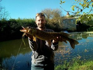 Northern Pike