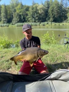 Mirror Carp