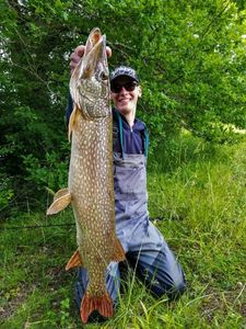 Northern Pike