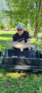 Grass Carp