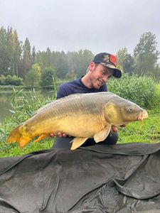 Mirror Carp