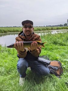 Northern Pike