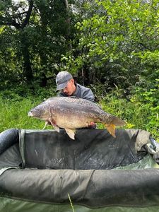 Leather Carp
