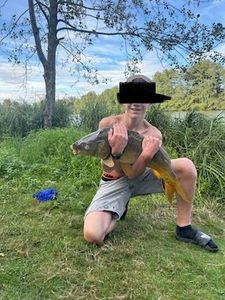 Mirror Carp