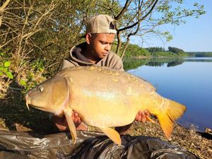 Mirror Carp