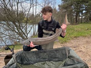 Sturgeon