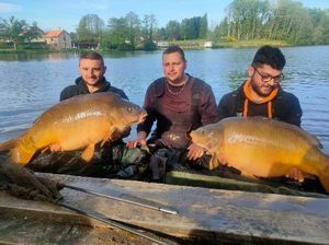 Mirror Carp