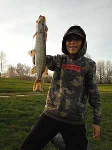 Northern Pike