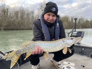 Northern Pike