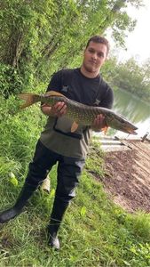 Northern Pike