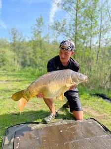 Mirror Carp