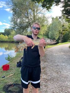 Northern Pike