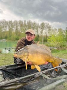 Mirror Carp