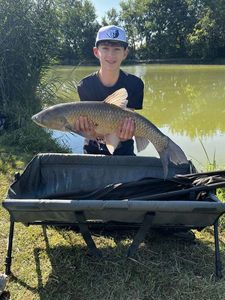 Grass Carp