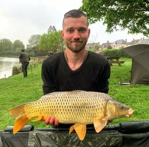 Common Carp