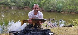 Grass Carp