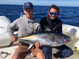 Bluefin Tuna