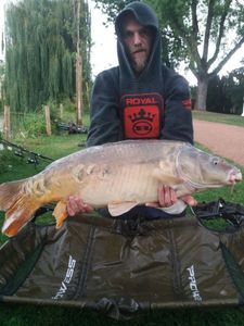 Mirror Carp