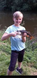 European Perch