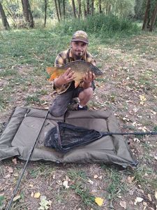 Common Carp caught by Antoine Lemée team GSTF 🐟