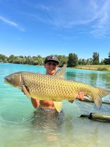 Grass Carp