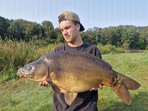 Mirror Carp