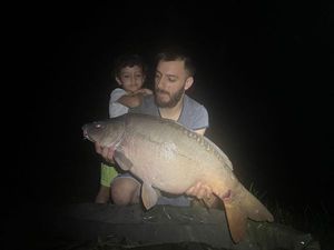 Mirror Carp