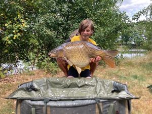 Common Carp
