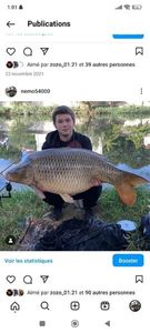 Common Carp