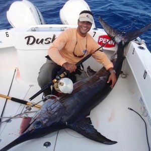 Swordfish