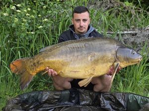 Mirror Carp