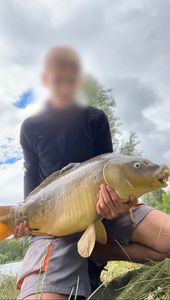 Mirror Carp