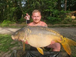 Mirror Carp