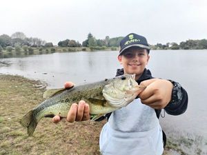 Largemouth Bass