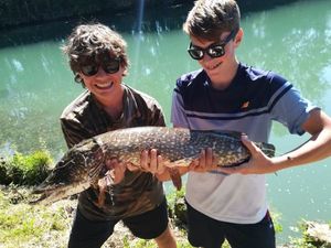 Northern Pike