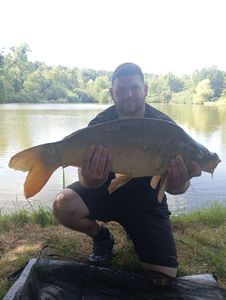 Mirror Carp