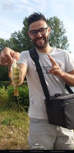 European Perch