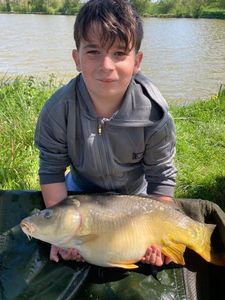 Common Carp