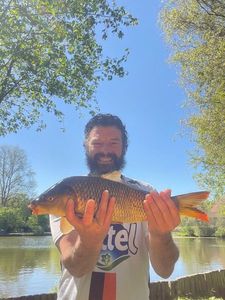 Common Carp