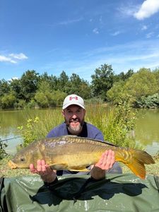 Mirror Carp