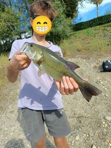 Largemouth Bass