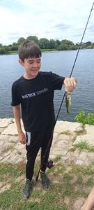 Largemouth Bass