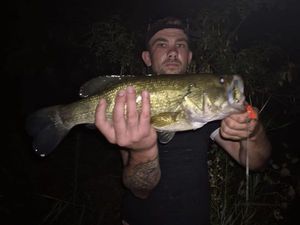 Largemouth Bass