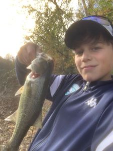 Largemouth Bass